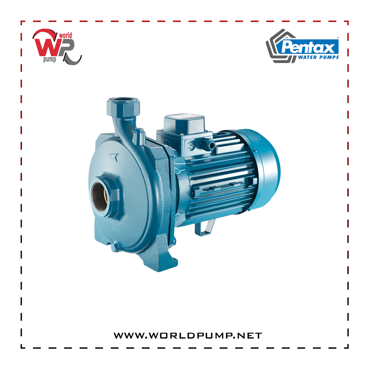 CM 310 Pentax single impeller plate electric pump world pump store